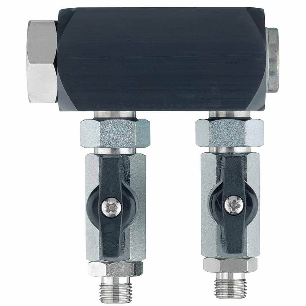 Outlet manifold with ball valves (2 x 1/4